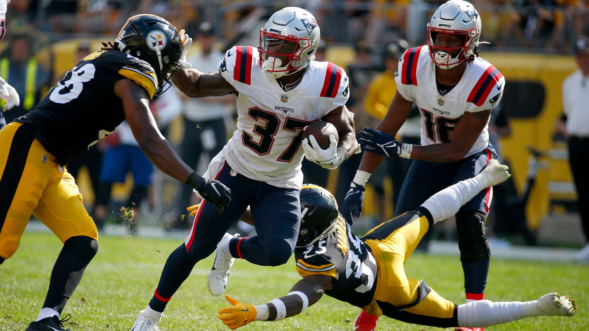 是最大亮点 是最大亮点